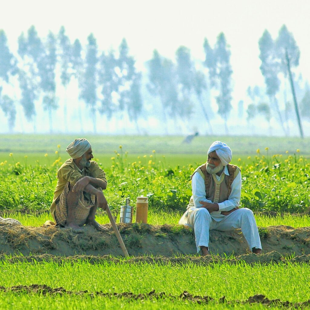 Farmer Day