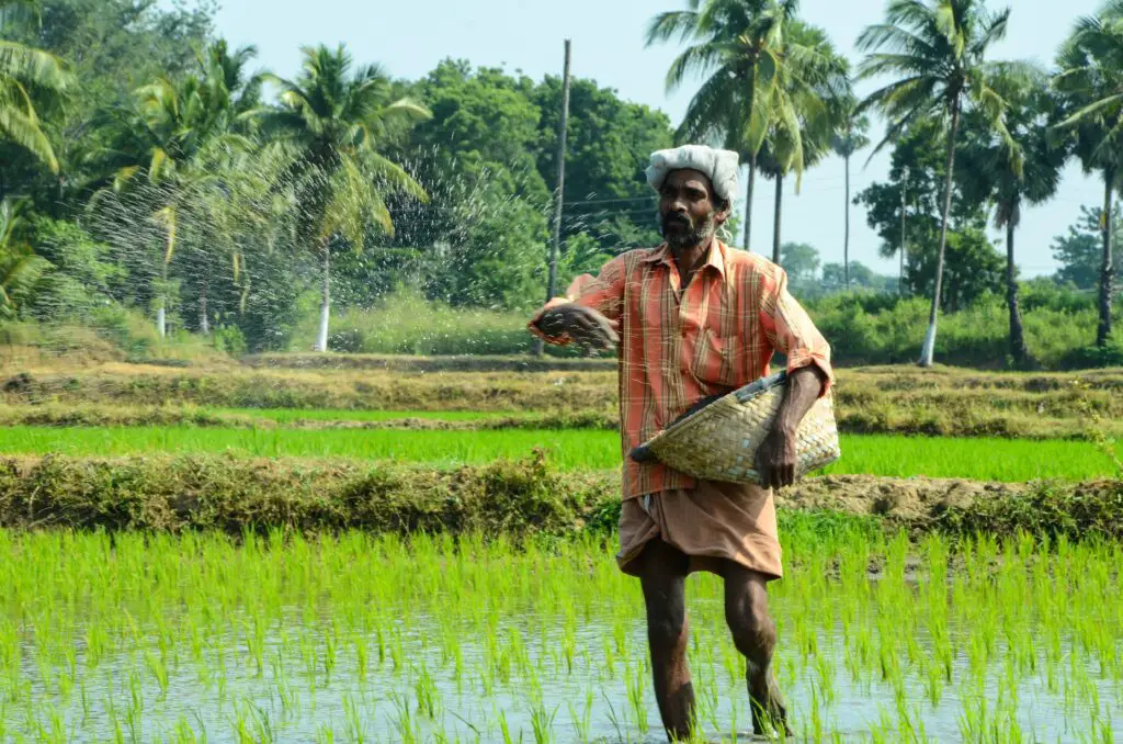 Farmer Day