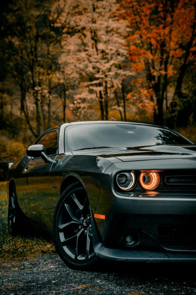 DODGE