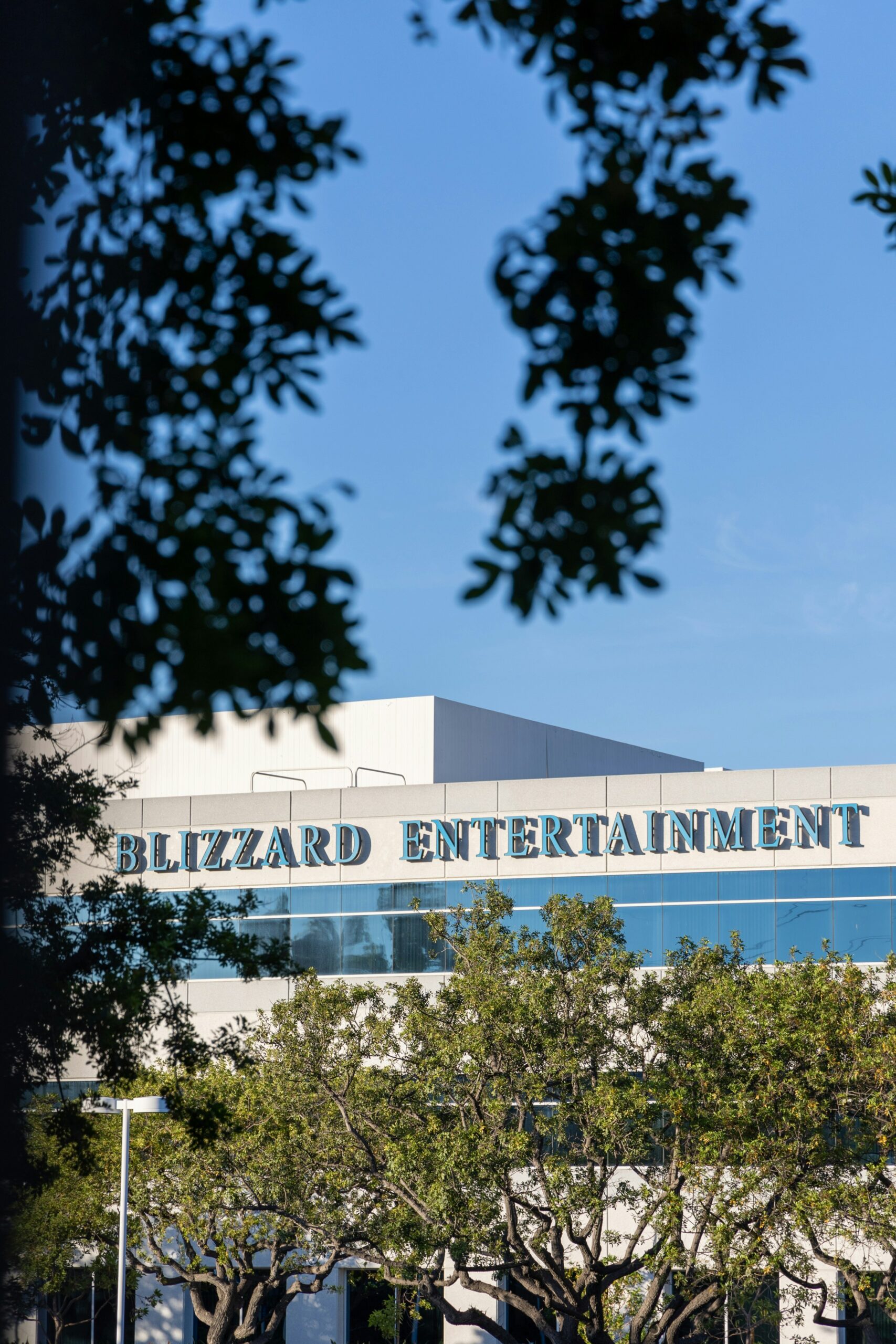 Blizzard Entertainment