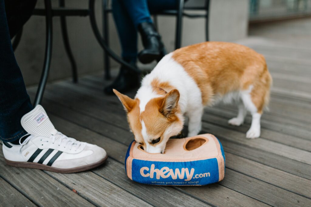 Chewy