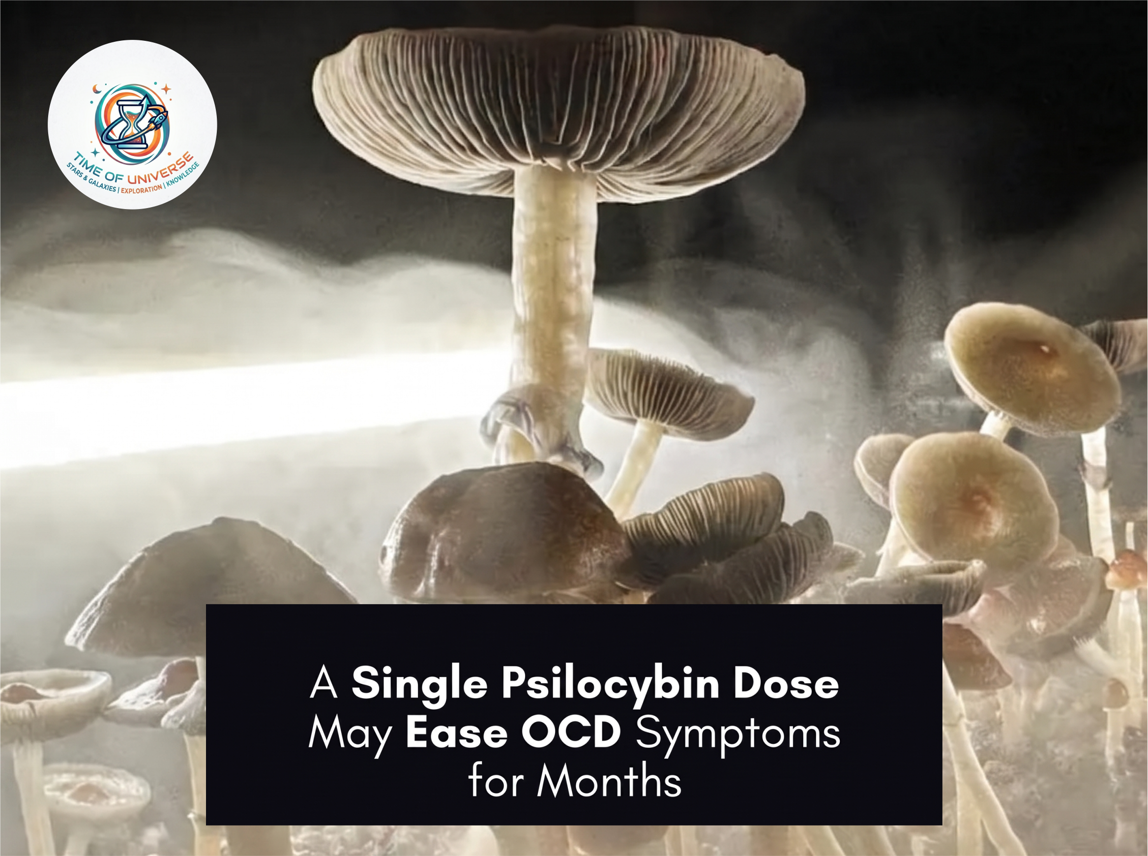 Psilocybin