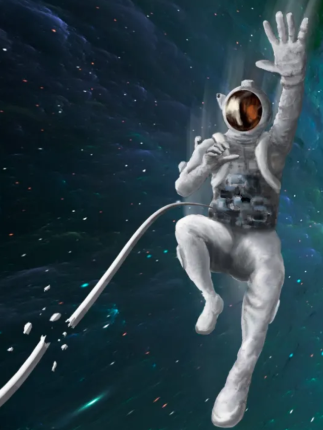 What If You Fell Into a Black Hole?